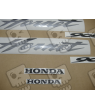 STICKERS SET HONDA CB900F HORNET AÑO 2006 VERSION PLATA