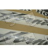STICKERS SET HONDA CB900F HORNET AÑO 2006 VERSION PLATA