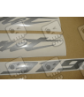 STICKER SET HONDA CB919F HORNET AÑO 2004 VERSION VERDE