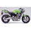 STICKER SET HONDA CB919F HORNET AÑO 2004 VERSION VERDE (Producto compatible)