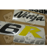 STICKER SET KAWASAKI ZX-6R AÑO 2004 VERDE