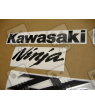 STICKER SET KAWASAKI ZX-6R AÑO 2004 VERDE