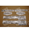STICKER SET KAWASAKI ZX-6R AÑO 2004 PLATA