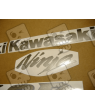 STICKER SET KAWASAKI ZX-6R AÑO 2004 PLATA