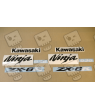 STICKER SET KAWASAKI ZX-6R AÑO 2005 VERDE