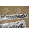 STICKER SET KAWASAKI ZX-6R AÑO 2006 BLACK
