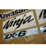 STICKER SET KAWASAKI ZX-6R AÑO 2007 NARANJA