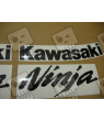 STICKER SET KAWASAKI ZX-6R AÑO 2007 ROJO