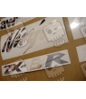 STICKER SET KAWASAKI ZX-6R AÑO 2008 AZUL