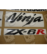 STICKER SET KAWASAKI ZX-6R AÑO 2008 AMARILLO
