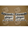 STICKER SET KAWASAKI ZX-6R AÑO 2009 VERDE