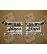 STICKER SET KAWASAKI ZX-6R AÑO 2010 ROJO