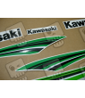 STICKER SET KAWASAKI ZX-6R AÑO 2011 GREEN