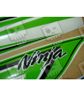 STICKER SET KAWASAKI ZX-6R AÑO 2011 GREEN
