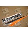 STICKERS KIT KAWASAKI ZX-9R 2003 SILVER ORANGE
