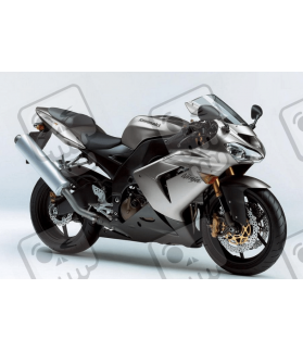 ADHESIVOS KIT KAWASAKI ZX-9R 2005 PLATA
