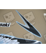 ADHESIVOS KIT KAWASAKI ZX-9R 2007 VERDE