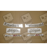 STICKERS KIT KAWASAKI ZX-10R 2008 BLACK