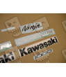 ADHESIVOS KIT KAWASAKI ZX-10R 2012 ABS VERDE