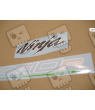 ADHESIVOS KIT KAWASAKI ZX-10R 2012 ABS VERDE