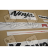 ADHESIVOS KIT KAWASAKI ZX-10R 2013 ROJO