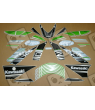 STICKERS KIT KAWASAKI ZX-10R YEAR 2016 GREEN BLACK