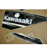 ADHESIVOS KIT KAWASAKI ZX-10R 2016 VERDE NEGRO