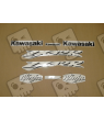 STICKERS KIT KAWASAKI ZX-12R YEAR 2004 GREEN