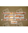 ADHESIVOS KAWASAKI ZX10R