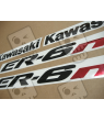 AUTOCOLLANT KIT KAWASAKI ER-6N YEAR 2007 SILVER