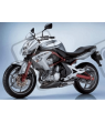 AUTOCOLLANT KIT KAWASAKI ER-6N YEAR 2007 SILVER