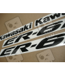 STICKERS KIT KAWASAKI ER-6N YEAR 2008 VERDE