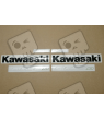 AUFKLEBER KIT KAWASAKI ER-6N YEAR 2009 GREEN