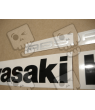 ASESIVI KIT KAWASAKI ER-6F YEAR 2009 GREEN
