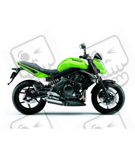 ASESIVI KIT KAWASAKI ER-6F YEAR 2009 GREEN (Prodotto compatibile)