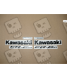 ADHESIVOS KIT KAWASAKI ER-6N AÑO 2009 PLATA