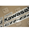 ADHESIVOS KIT KAWASAKI ER-6N AÑO 2009 PLATA