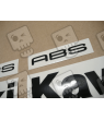 ADHESIVOS KIT KAWASAKI ER-6N AÑO 2009 PLATA