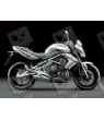 ASESIVI KIT KAWASAKI ER-6F YEAR 2009 SILVER