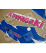 ASESIVI KIT KAWASAKI ZXR750 YEAR 1994 GREEN WHITE