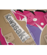 ASESIVI KIT KAWASAKI ZXR750 YEAR 1995 BLACK PINK PURPLE