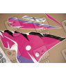 AUTOCOLLANT KIT KAWASAKI ZXR750 YEAR 1995 BLACK PINK PURPLE