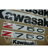 ASESIVI KIT KAWASAKI Z750 YEAR 2006 SILVER