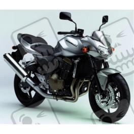 ASESIVI KIT KAWASAKI Z750 YEAR 2006 SILVER