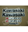 ASESIVI KIT KAWASAKI Z750 YEAR 2007 SILVER