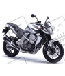 ASESIVI KIT KAWASAKI Z750 YEAR 2007 SILVER
