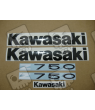 ADHESIVOS KIT KAWASAKI Z750 AÑO 2011 VERDE