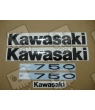 AUTOCOLLANT KAWASAKI Z750 YEAR 2011 GREEN