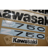 ASESIVI KIT KAWASAKI Z750 YEAR 2011 GREEN