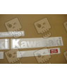 AUTOCOLLANT KAWASAKI Z750 YEAR 2006 BLACK